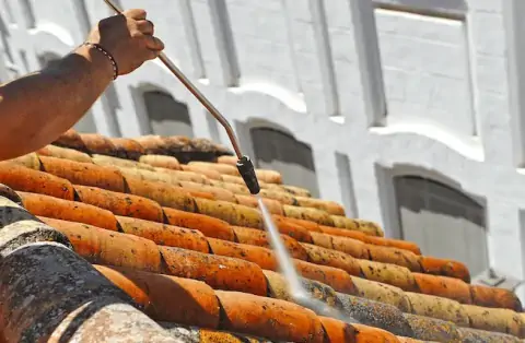 Nettoyage de toitures - Savins